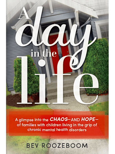 A Day in the Life book cover
